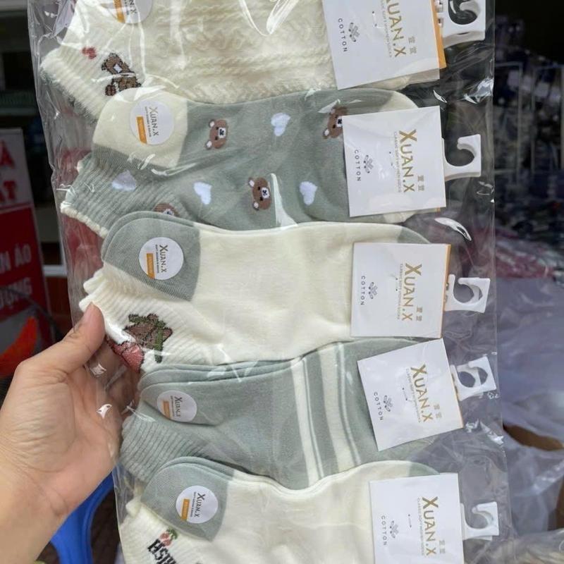 Set 10 đôi tất nữ cổ ngắn dệt kim in hoạ tiết dễ thương thời trang tất vớ nữ cotton thấm hút mồ hôi mẫu mới tat  gaucoca 6