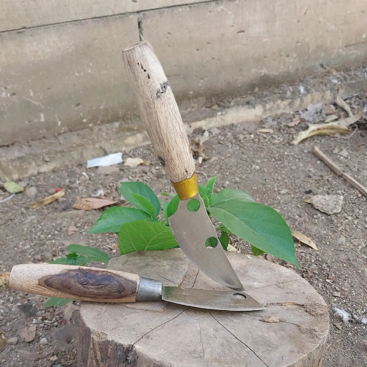 pisau dapur 1set( 2 pisau)  bisa buat seset kulit kambing/sapi juga