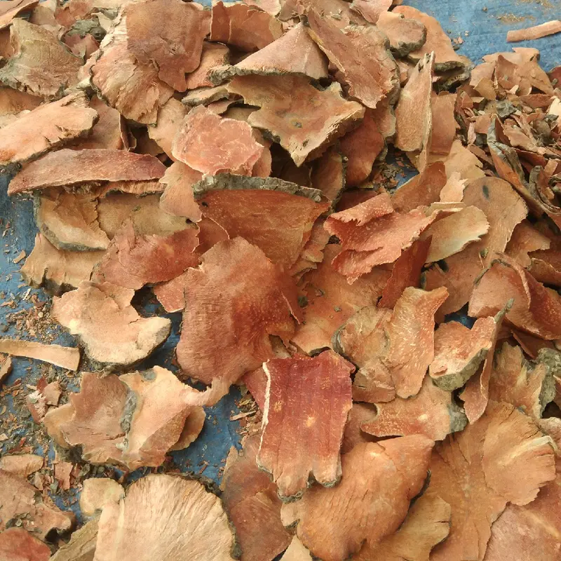 1kg củ khúc khắc khô.khúc khắc đỏ  khô 4