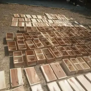 Kotak Ternak lebah Kotak lebah klanceng trigona leavicep lebah klanceng trigona