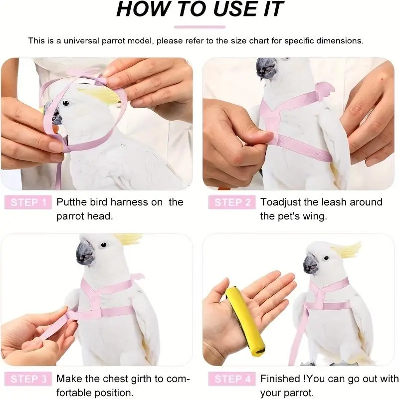 Parrot Training Leash, Lightweight Parrot Harness, Bird Supplies for Outdoor 5