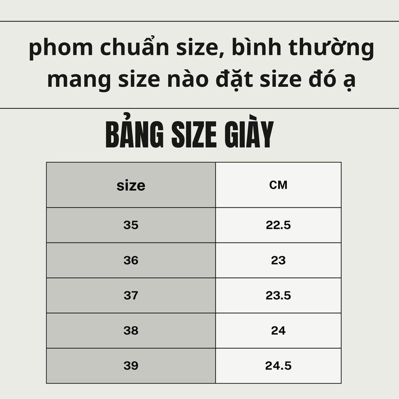 Giày cao gót vuông 5 phân hậu bít quai xoàn đá xịn dễ phối đồ, đi tiệc, đi chơi Nữ Shoes DéP 7
