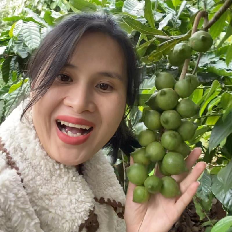 Product Introduction of 500gr Hạt Macca Sấy Đăk Lăk (1 Lon/ Túi zip) Dung Dương Đăk Lăk Food Snack Ăn Vặt Thức Ăn Cay Nuts 12