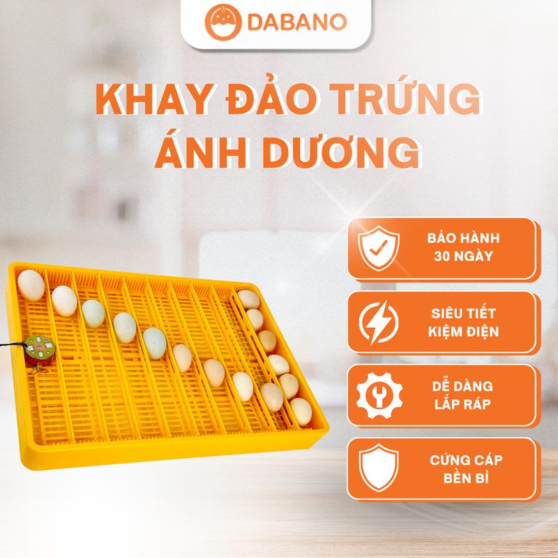 Khay Đảo Trứng Ánh Dương K180 Cao Cấp 58 Quả, Khay Nhựa ABS Siêu Bền - DABANO