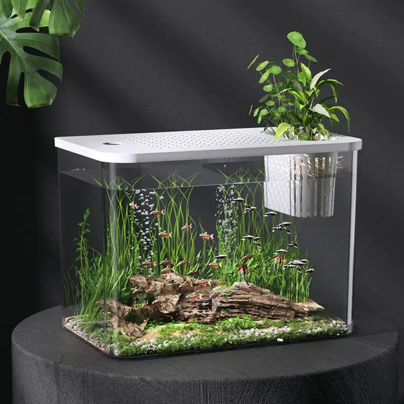 PET+ABS New Transparent Fish Tank with Lid Aquarium Hydroponic Tank Drop Resistant Turtle Tank Home