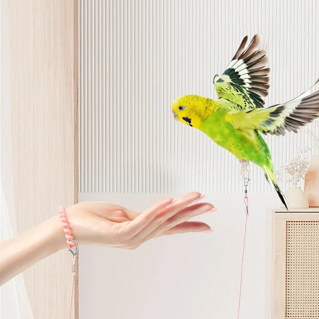 KRXWJ Training Flying Tractions Rope Elastics String Training Harness Parrots Toy