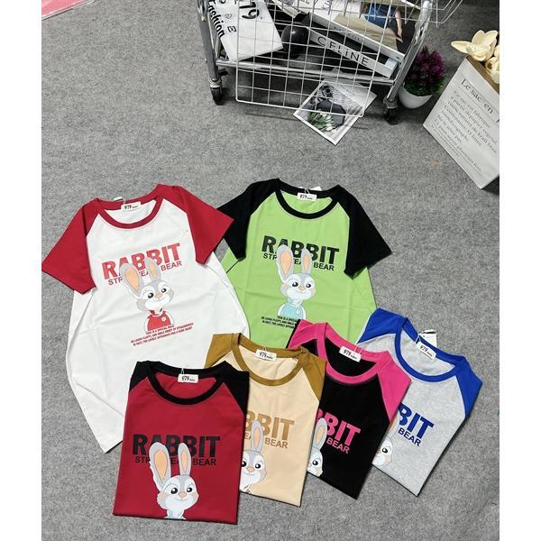 Mã A123 - Áo Thun Thái Form Vừa 40-63kg Thu Hiền store Cotton Cổ tròn