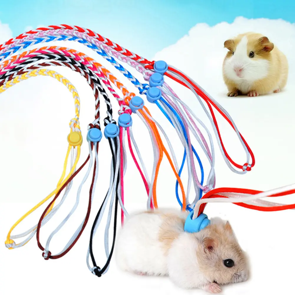 Dây Kéo Có Thể Điều Chỉnh Cho Thú Cưng, Vòng Cổ Đi Bộ, Dây Xích, Thỏ, Hamster, Nhỏ, 1.4 / 2M
