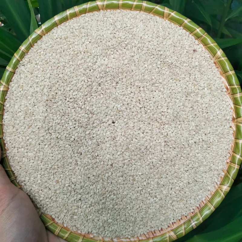 1kg Vừng Trắng (Mè Trắng) Điện Biên Hút Chân Không 500g/túi (Đã tách vỏ) 1