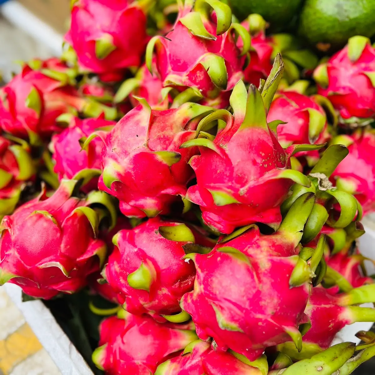 Red Flesh Dragon Fruit