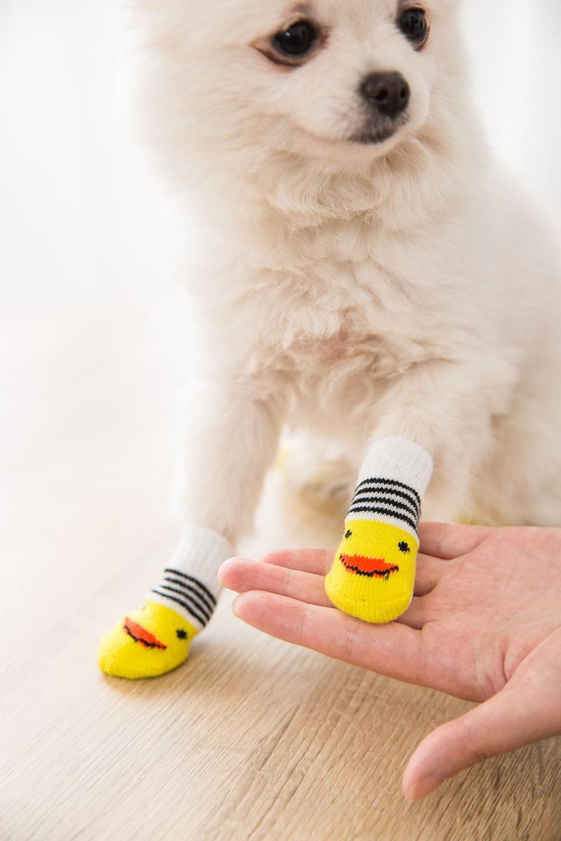 Product Introduction of 4Pcs Cute Pet Dog Socks with Print Anti-Slip Cats Puppy Shoes Paw Protector Products for Small Breeds Spitz York Dogs Chihuahua 13