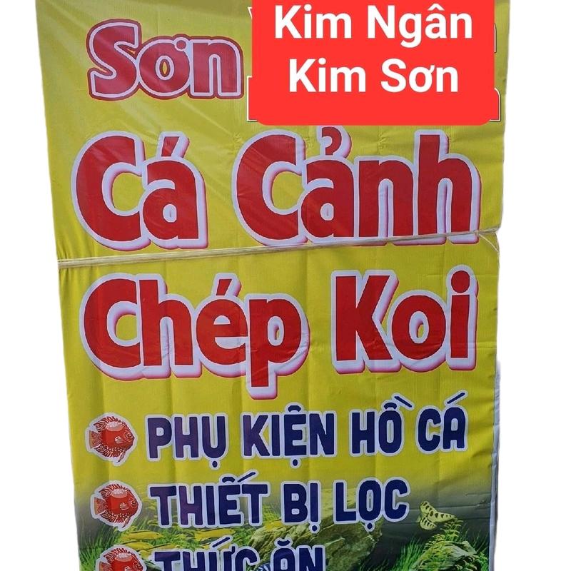 Decan ( KIM NGÂN, KIM SƠN ) hình quảng cáo siêu kute Decor Decal ( Cá cảnh ) 1