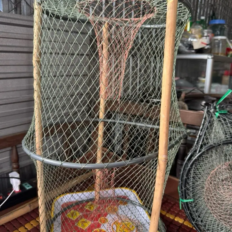 Combo 10 cá vành nhựa 30cm x 52cm bẫy cá lóc cá trê rô phi không cần mồi