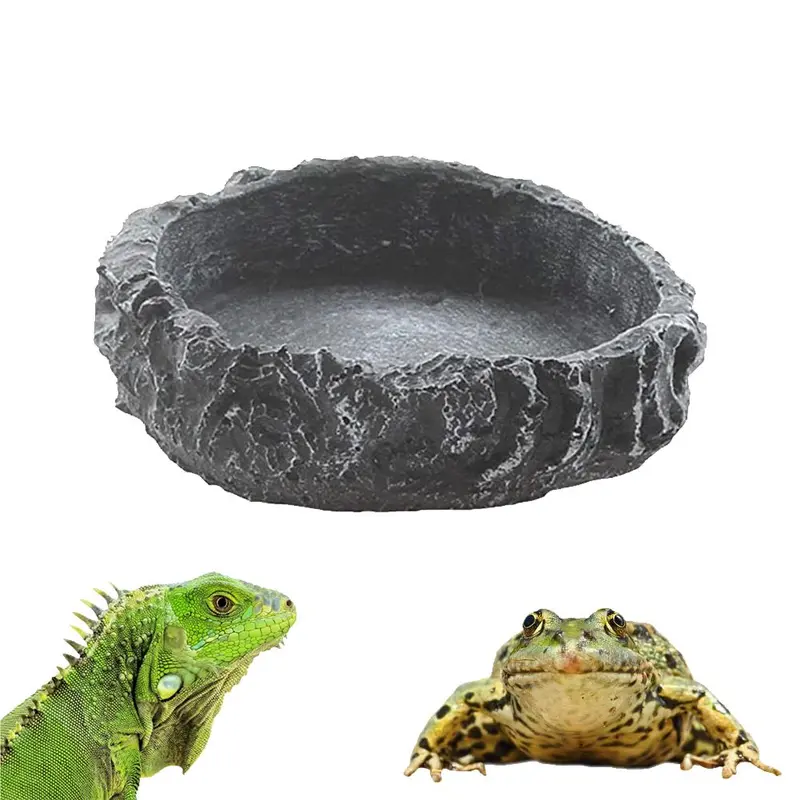 Bát Đĩa Nước Bò Sát Bát Đựng Thức Ăn, Cho Rệp Cắn, Thằn Lằn, Bọ Cạp, Nhện, Rắn Và Rồng, Thích Hợp Cho Bò Sát 1