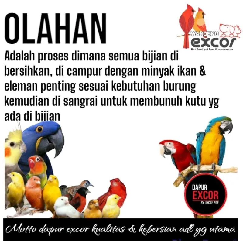 Red factor pigmen pakan burung kenari merah excor 150gr 2