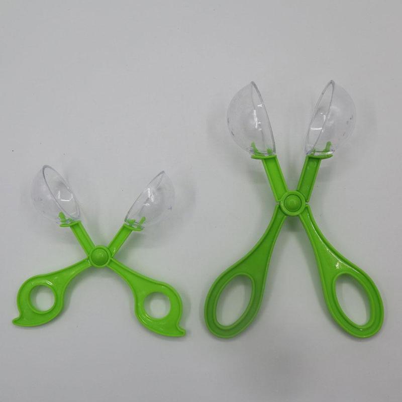 Product Introduction of Children's Outdoor Insect Catcher Tweezers Butterfly Insect Scissors Clips Clips W8Y5 26