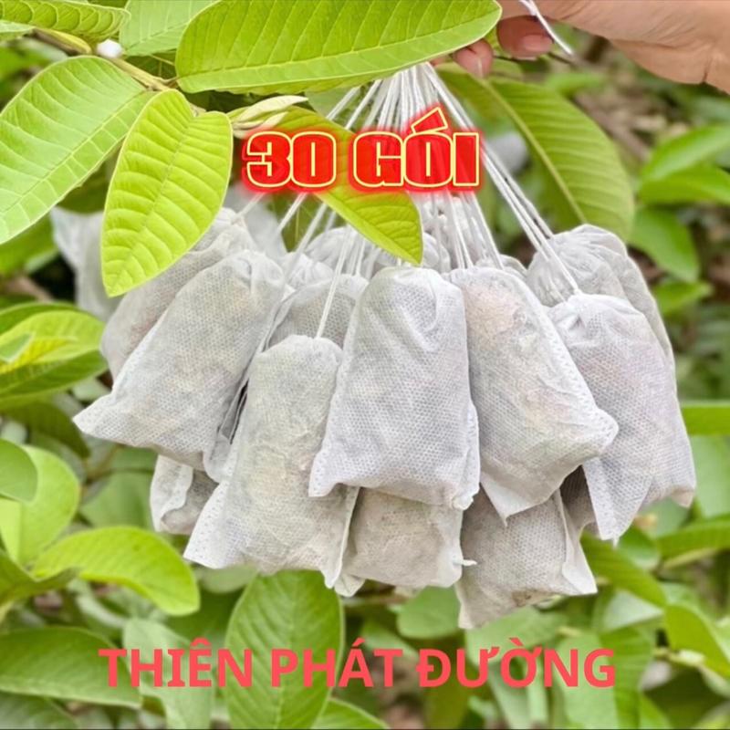 Combo 30 Túi Lọc Lá Ổi Khô Bánh Tẻ Thiên Phát Đường Tea Chè Nước ...