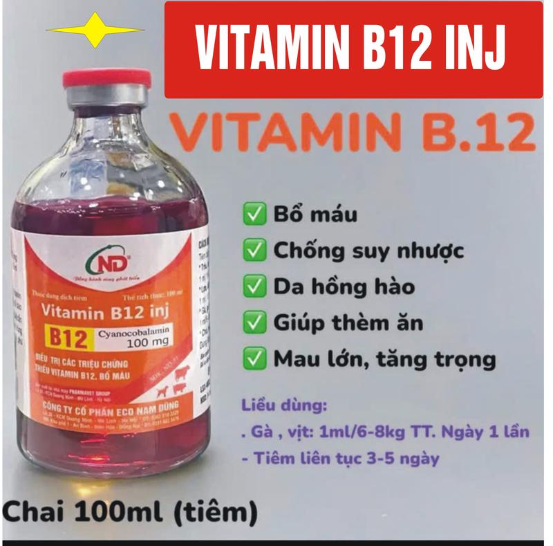  VITAMIN B12 INJ-Bổ máu tăng lực dành cho gà đá vật nuôi giúp gà đá mau lên nước máu 