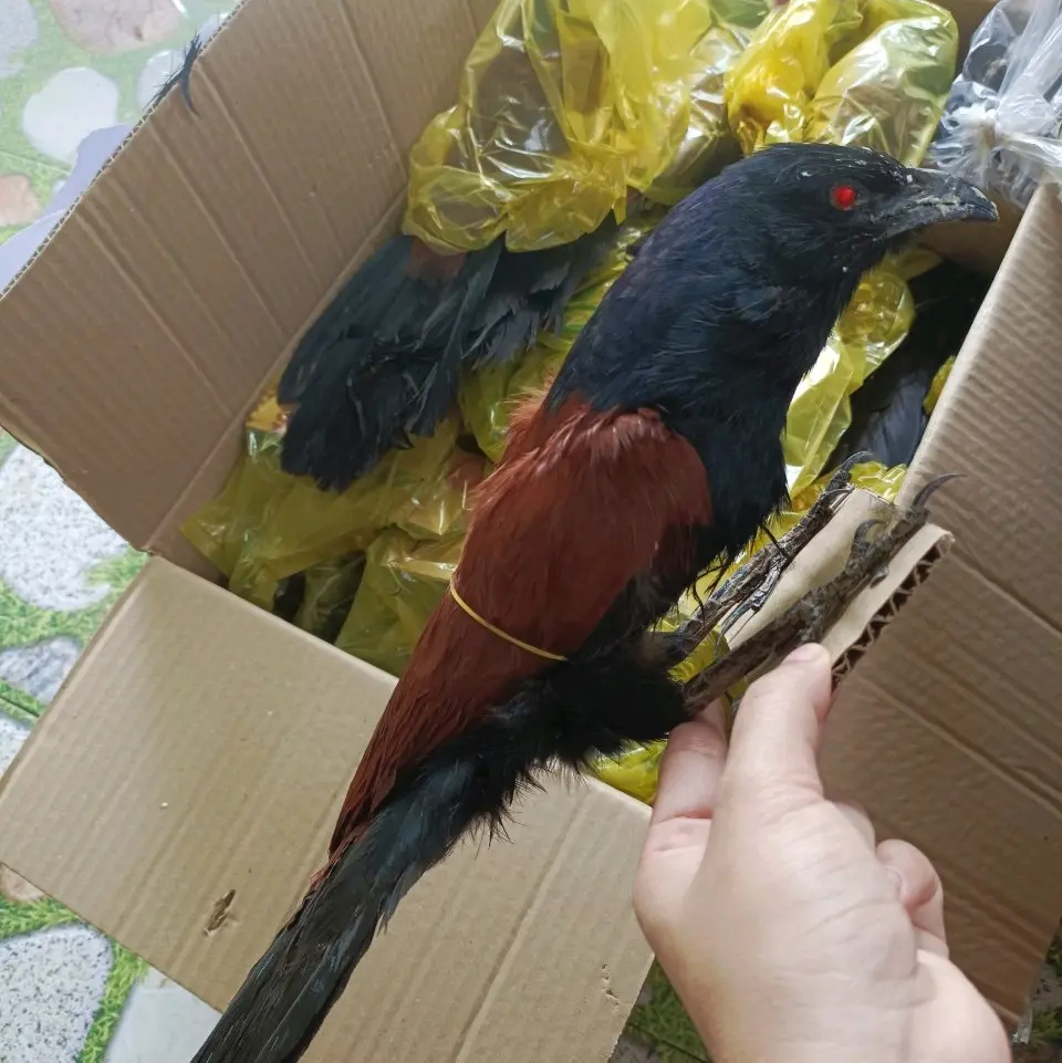 bìm bịp bơm keo chống thấm nước bền