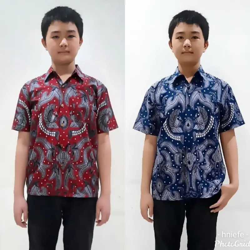 COD Baju Anak Laki-Laki Kemeja Batik Divania 0