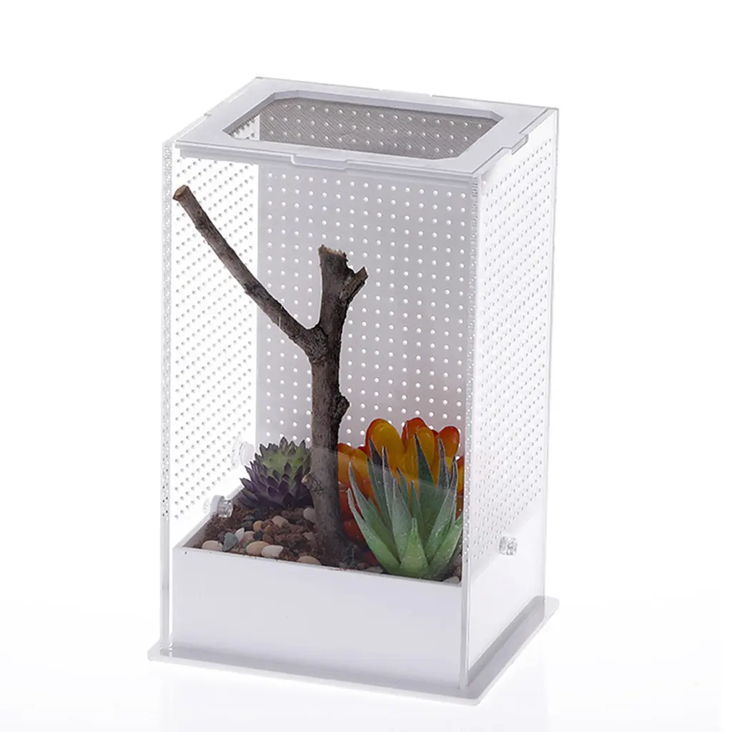 Reptile Feeding Box Breeding for Case Portable Plastic Terrarium Clear Insect Habitat for Mini Pet Lizard Centipede 2