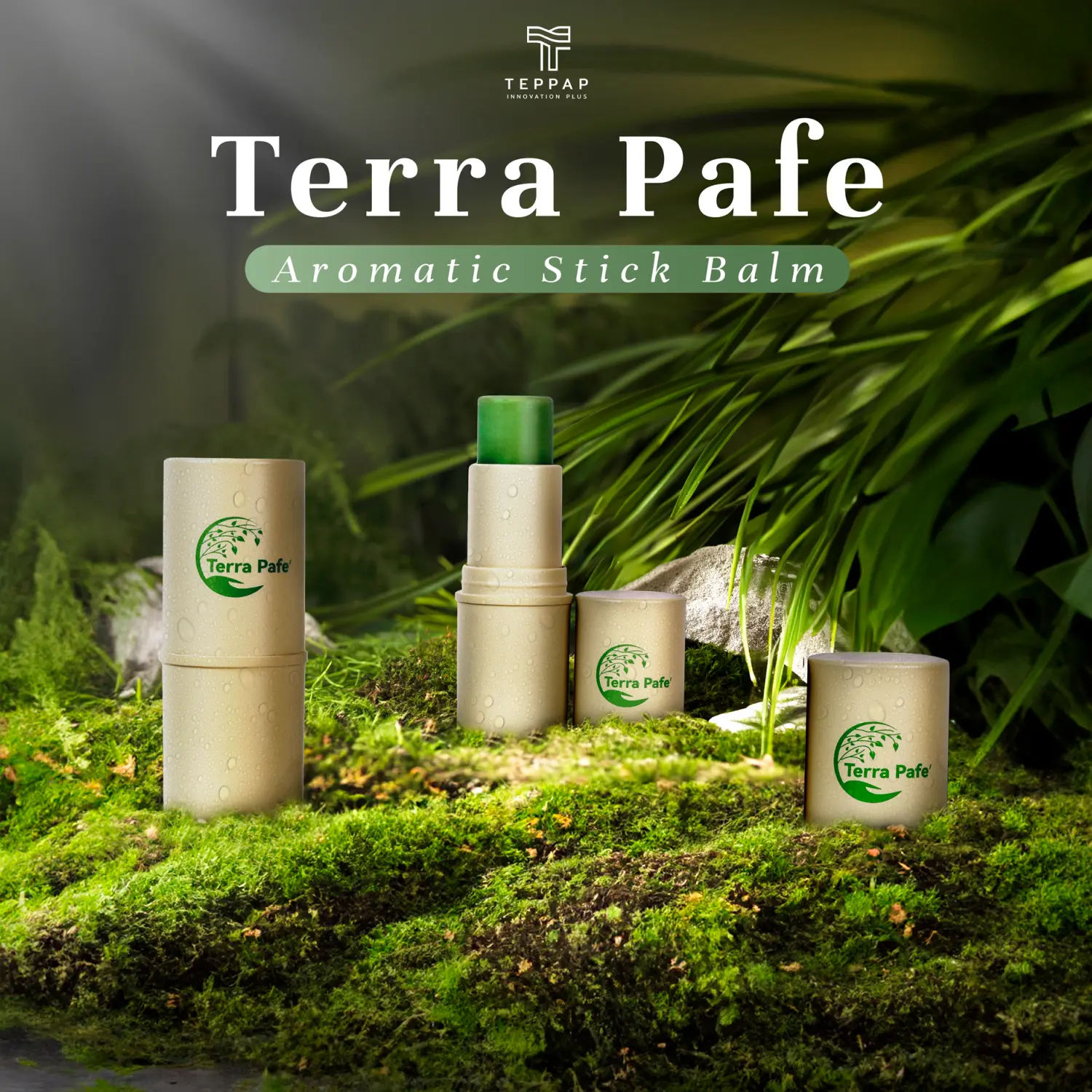Terra Pafe Aroma Balm (1-2 pieces) - Fresh and Relaxing Scent, Convenient to Carry, Invigorating, Suitable for Work and Study, Green Supplies