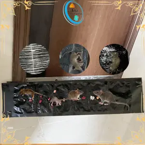 Lem Perangkap Tikus 0.6/1.2M Stiker Lem Tikus Jumbo Super Lengket / Jebakan Tikus Sticky Rat Blanket Pembasmi Tikus Lem Hama C1103