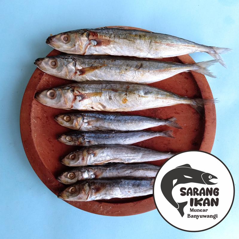 IKAN LAYANG / KLOTOK / BENGGOL BESAR ASIN 100/250/500 gr Laut 3