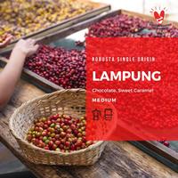 Gambar Robusta Lampung Roast Bean Coffee Kopi Biji Matang 500 gram - BEANS dari Tadi Pagi Coffee Roastery Kota Depok 4 Tokopedia