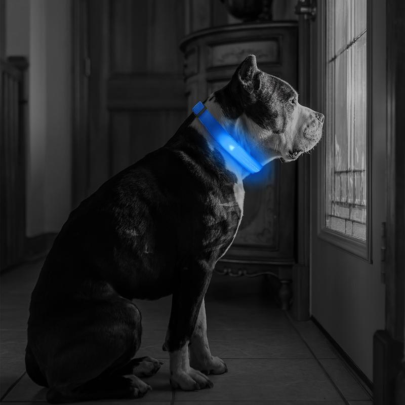 Product Introduction of LED luminous pet collar, suitable for small and medium-sized dogs - keep your pet safe and visible during nighttime walks, slightly waterproof 7