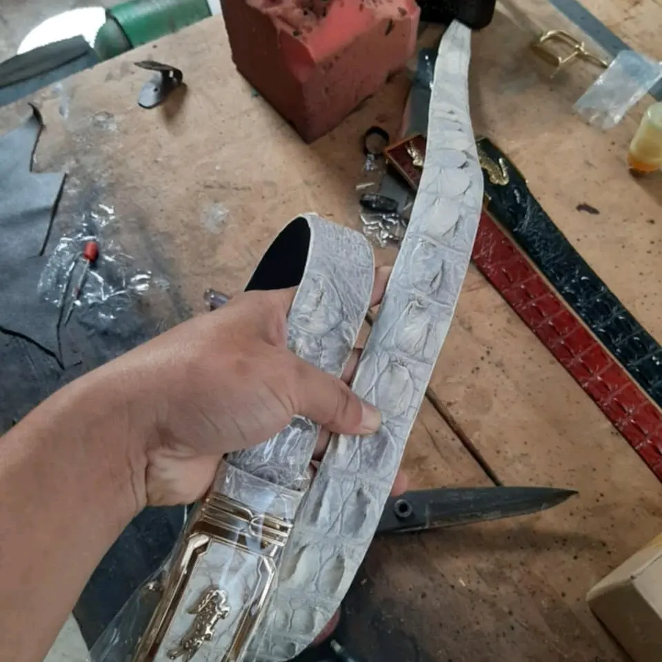 dây lưng liền cá sấu thật màu bạch tạng bản khóa 3.5cm