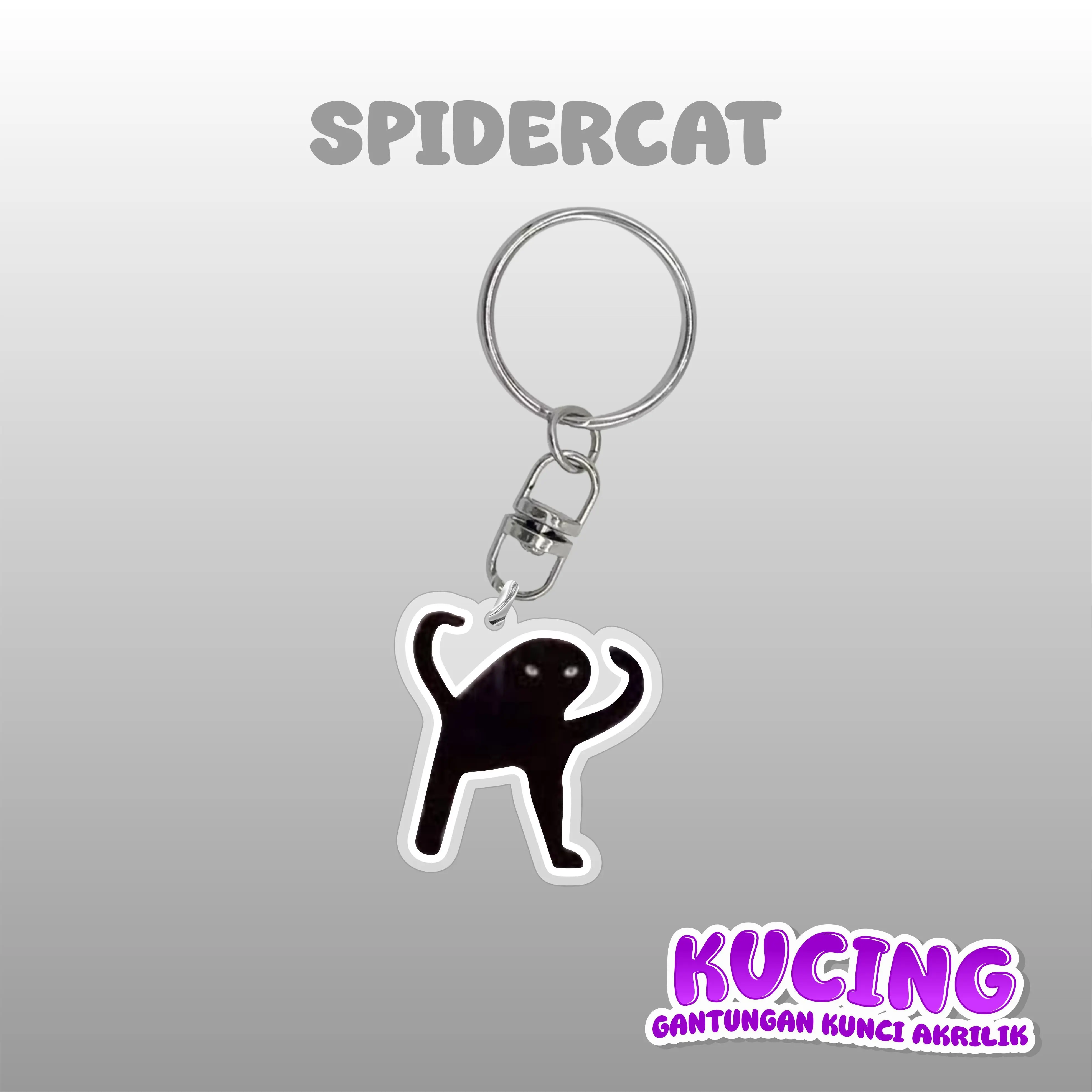 SPIDERCAT