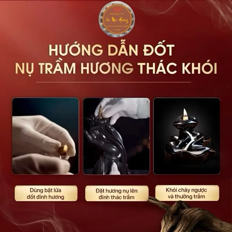 Nụ trầm hương, nụ quế cao cấp An Mộc Hương (Since 1983) 7