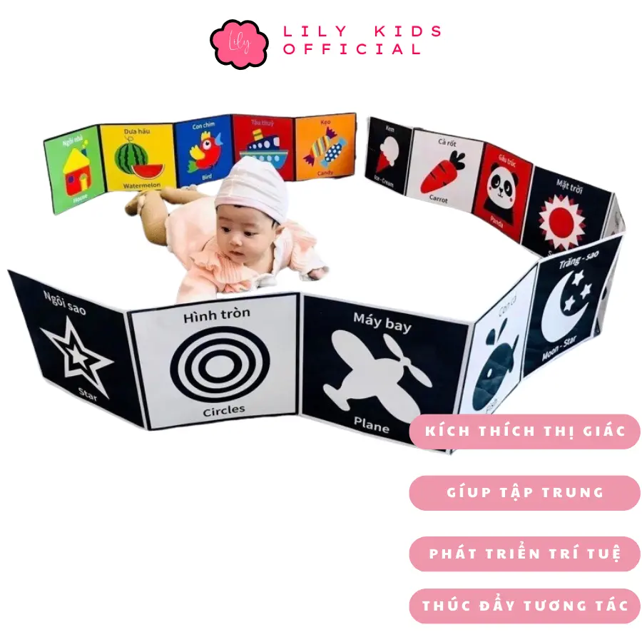 Thẻ Kích Thích Thị Giác Cho Trẻ Sơ Sinh Flash Card Kích Thích Thị Giác - Zíc Zắc Cho Bé 0-1 Tuổi, Thẻ In 2 Mặt