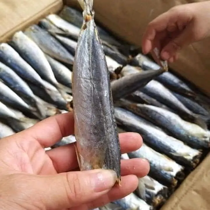 Cá Nục khô ngon loại 1, ngon dai,không mặn không bở, 1kg cá mắm ngon