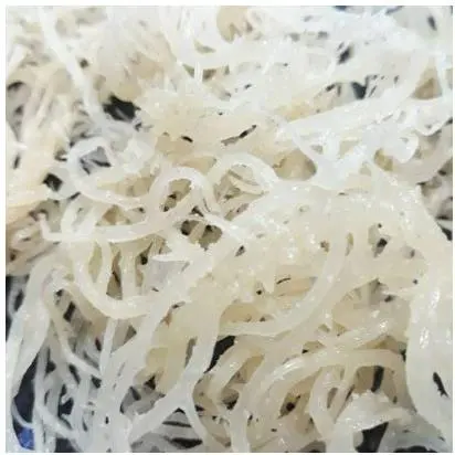 Rumput Laut Kering Isi 100 Gram Kualitas Premium / Spinosum Cottoni / Rempah 2