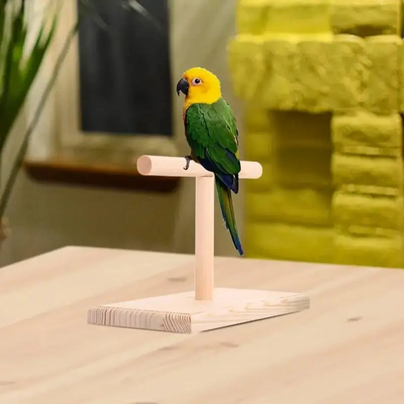 Bird Stand, Small Bird Stand, Parrot Stand, Pet Standing Rack, Suitable for Small Parrots, Cockatiels, Lovebirds, Finches, Canaries, Birds Supplies