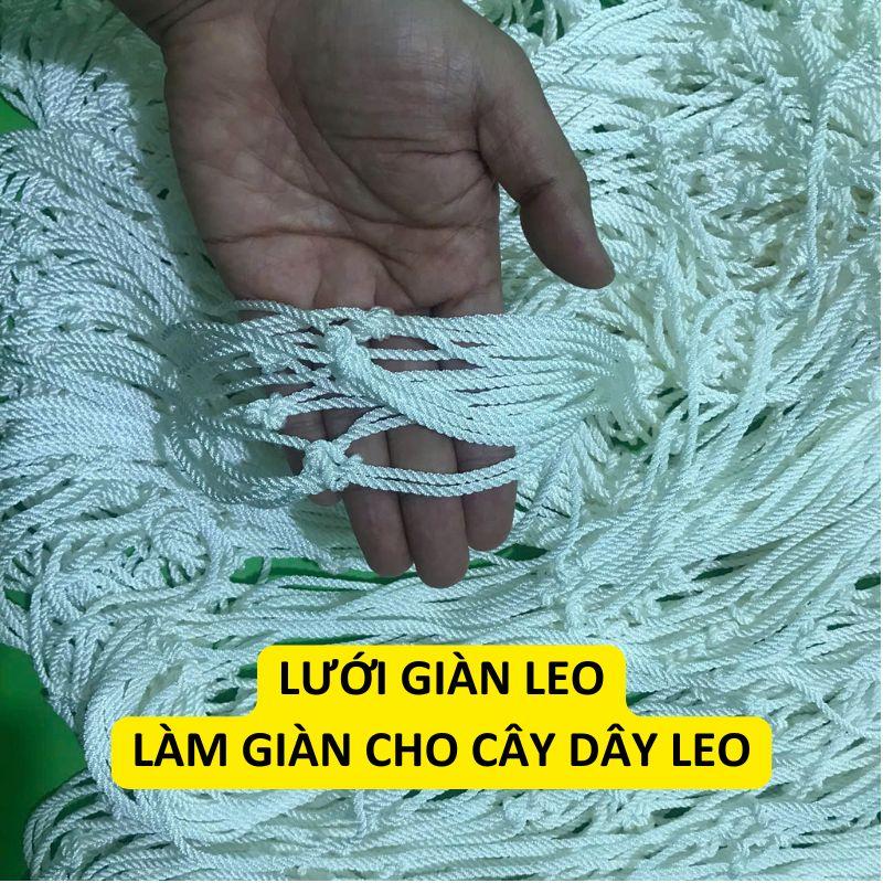  Lưới giàn leo làm giàn mướp bầu bí cây dây leo MÀU TRẮNG   sợi 3mm khổ lưới 2m 3m 4m 5m 6m   tặng kèm dây buộc lưới 