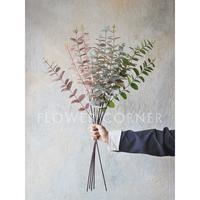 Gambar Daun Artificial Eucalyptus Silver Dollar Thin Spray (D22128) dari FlowerCornerID Kota Administrasi Jakarta Utara 1 Tokopedia