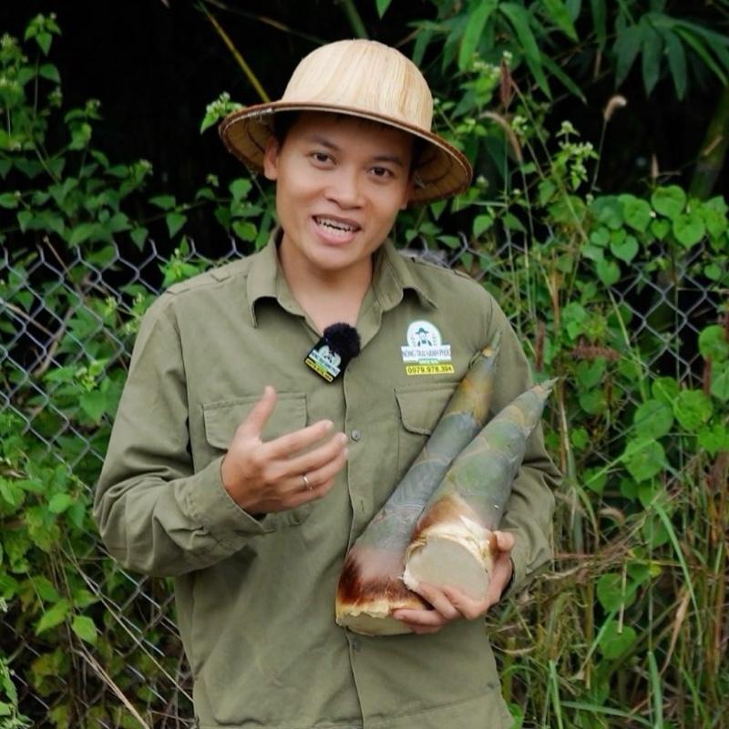 10 Cây Giống Tre Tứ Quý lấy măng - Nông Trại Hạnh Phúc