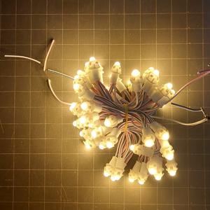 Đèn Led Đúc F5 12v Dây 3m 50 Bóng , quấn cây trang trí nhà hàng quán cà phê ( chưa gồm Nguồn)