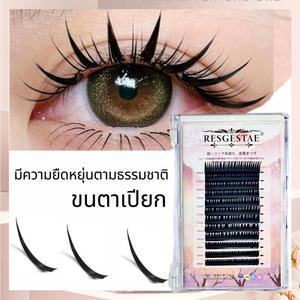 ขนตาปลายนุ่มโค้ง C/D ธรรมชาติ หนา 0.07 มม. เหมาะสำหรับขนตาเปียก ขนตาการ์ตูน  สตรี เครื่องสำอาง