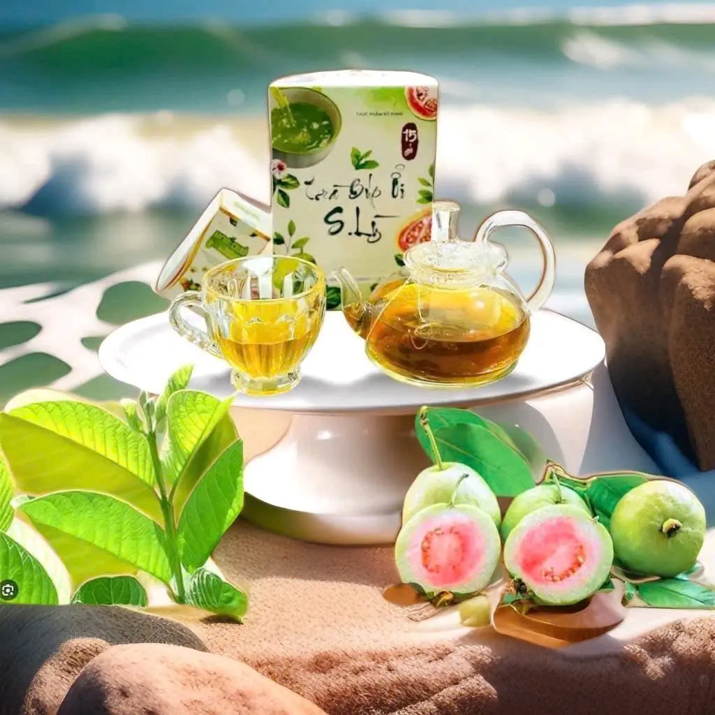7 GÓI TRÀ BÚP ỔI SLY (DÀNH CHO CƠ ĐỊA S..LỲ)