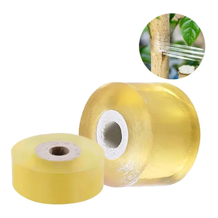 Băng keo ghép cành tự dính BẢN RỘNG 2cm (Loại rất mỏng và dai, màu xanh nhạt/vàng nâu nhạt) Có khả năng tự dính khi ghép mối ghép, tăng năng suất rõ rệt cho cây  Tự hủy sau 2 năm, tiết kiệm công tháo gỡ