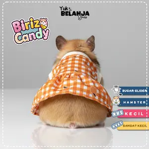 Baju Sugar Glider / Hamster Dress Birizy Candy  Hewan Kecil size XXS | Yuk Belanja Gaes!