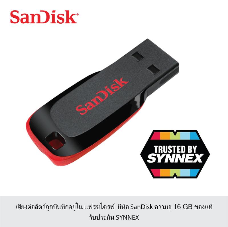 Product Introduction of เสียงกบ ฟ้าร้อง ให้กบผสมพันธุ์ เมมเสียงกบ เสียงฟ้าร้อง ให้กบผสมพันธุ์ แฟลชไดร์ฟเสียงกบ เสียงฟ้าร้อง ให้กบผสมพันธุ์ ของแท้ 0