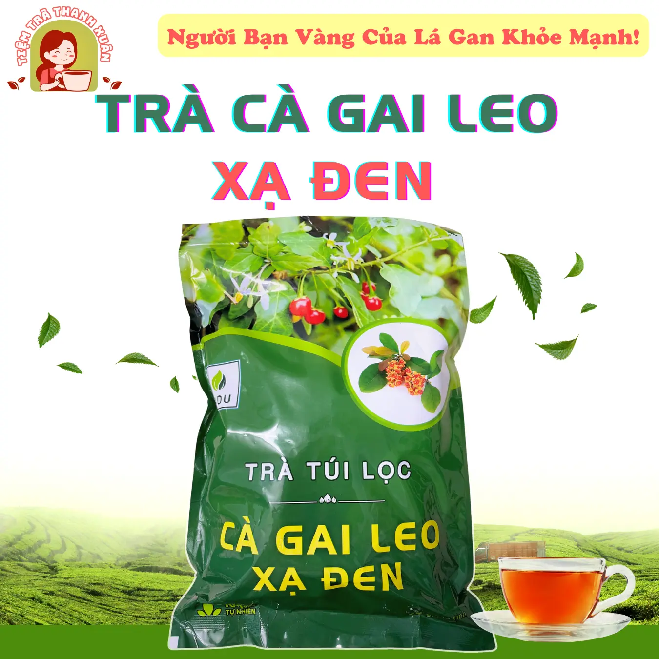 Trà Cà Gai Leo Xạ Đen SADU 250g (50 túi lọc) Hỗ Trợ Thanh Nhiệt Giải Độc Mát Gan - Nước Trà Tea Chè càgaileo Không Chua _
