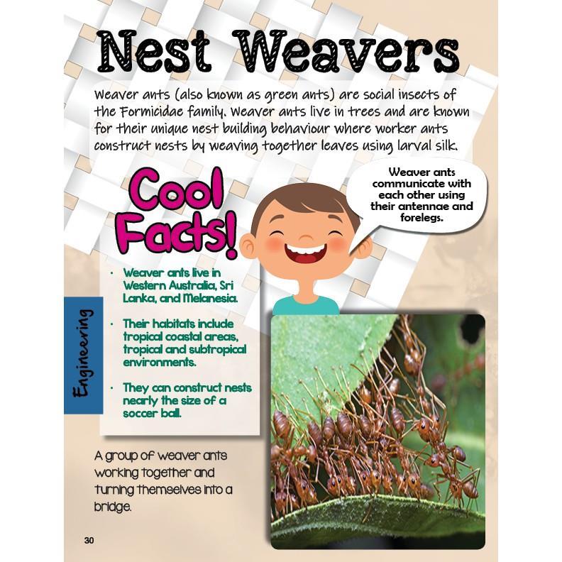 Product Introduction of original STEAM Explorers Magazine (Age 4-8) - Issue 4 (Science, Technology, Engineering, Arts, Mathematics Books / Magazines) 9