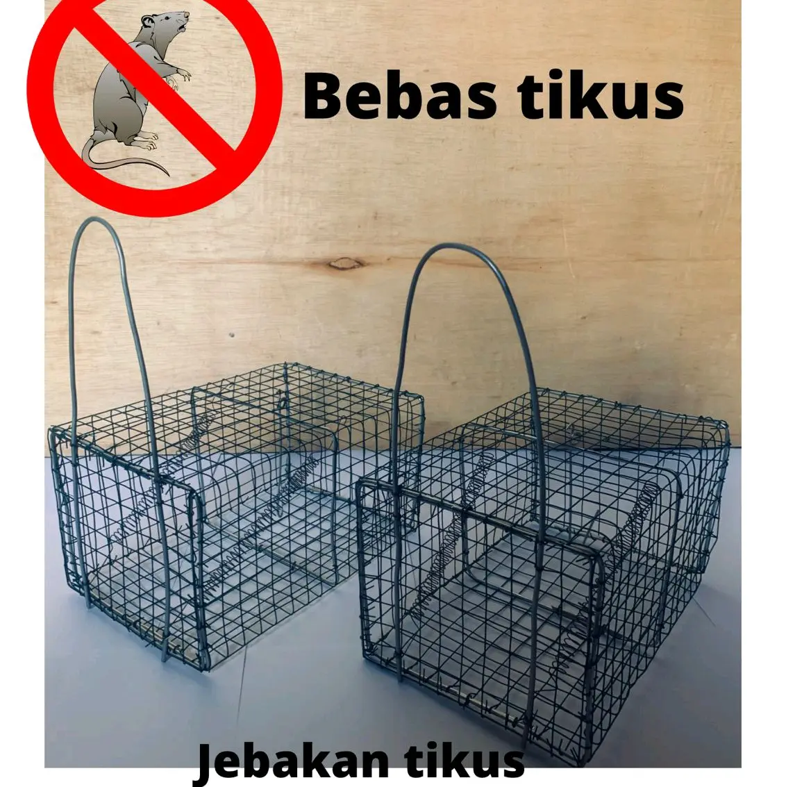 Senteg Jebakan Tikus / Jebakan tikus Super Ampuh