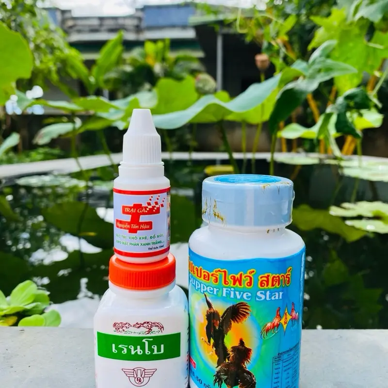 Compo bổ gân, tăng gân gối của thái 0